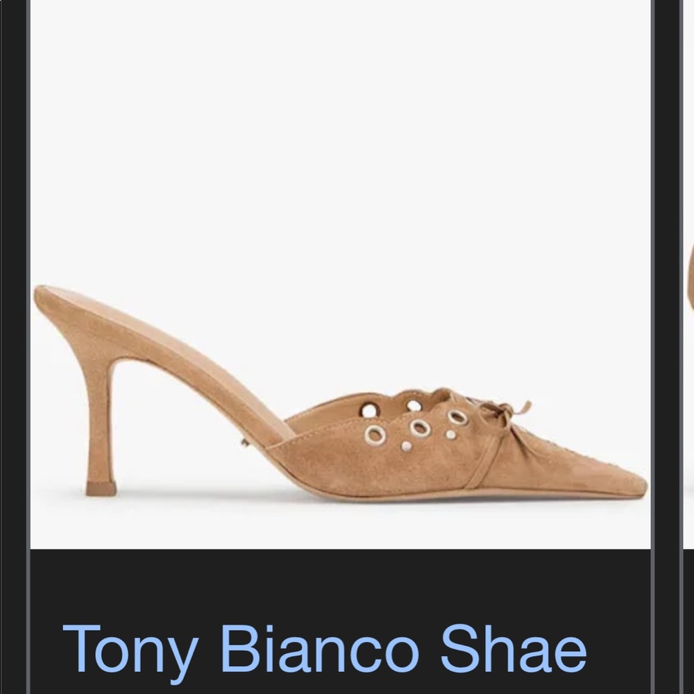 Tony Bianco Shae Suede Mule Heels